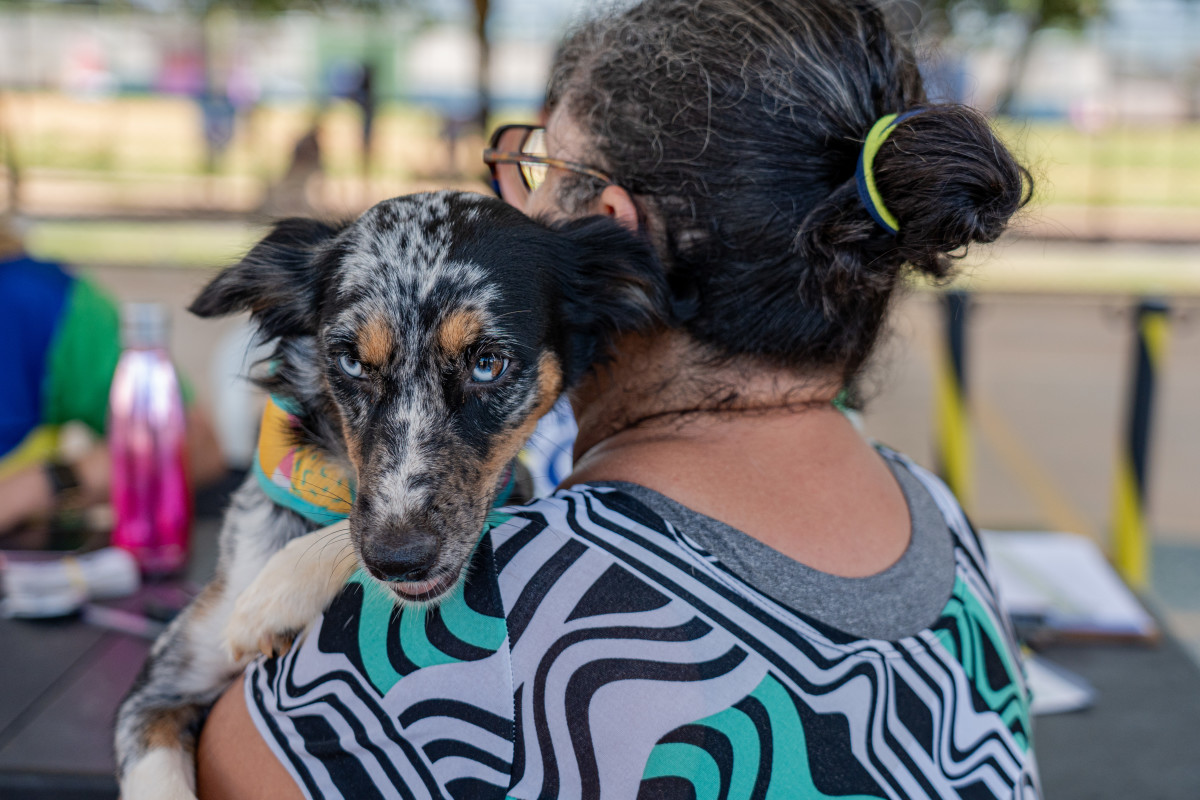 foto da notícia com o título Programa Castra + atende mais de mil animais em Cacoal