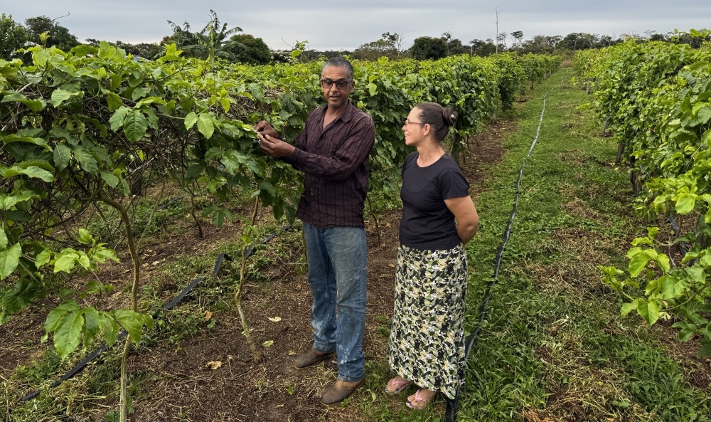foto de capa da notícia com o título Alero no Agro: emenda garante regularização fundiária e transforma a vida de produtores rurais em Vilhena