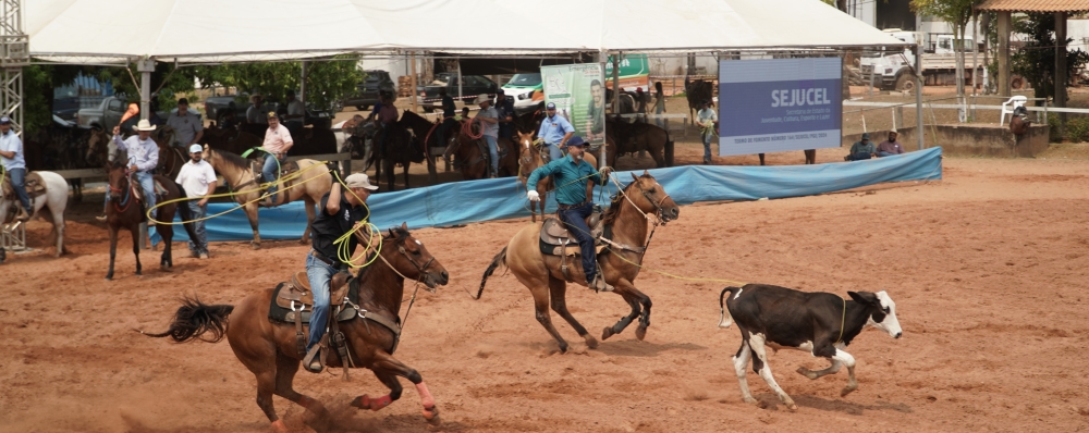 foto de capa da notícia com o título Cirone Deiró assegura recursos para Circuito de Provas Equestres