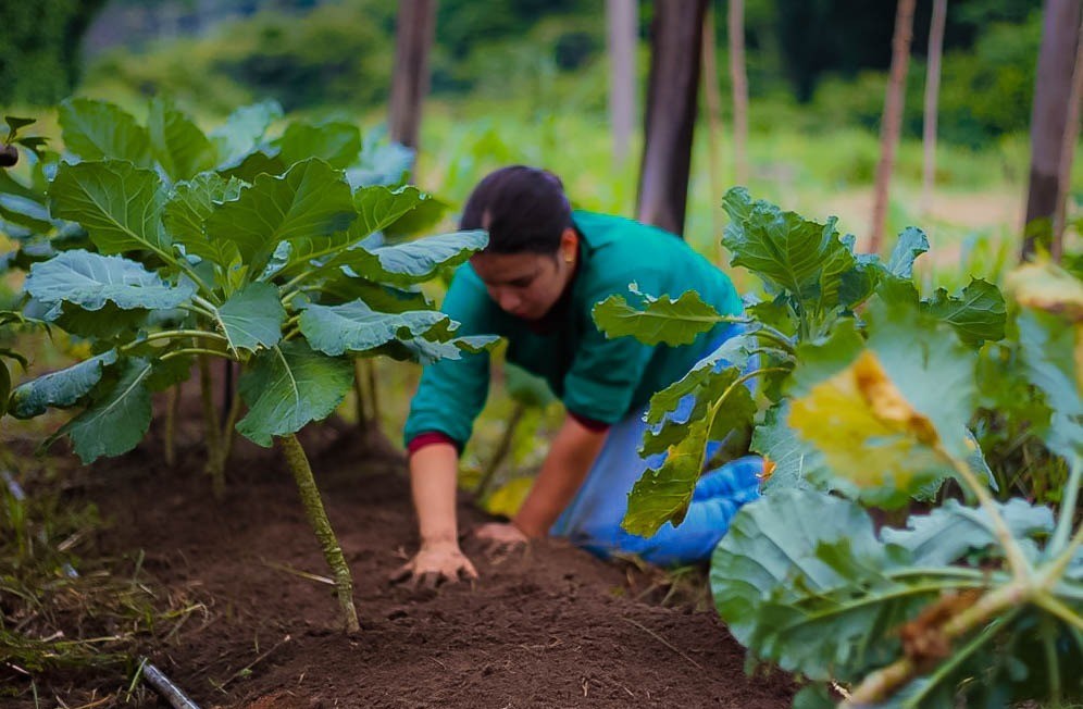 foto de capa da notícia com o título Deputado Alan Queiroz destina R$ 300 mil para aquisição de trator, em Nova União