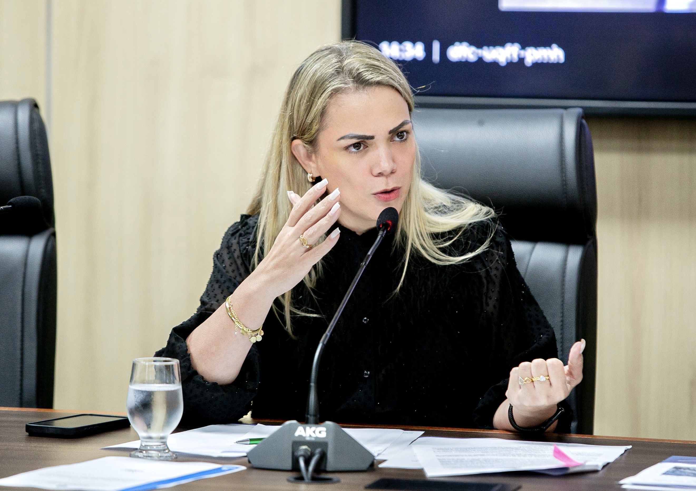 foto da notícia com o título Plano de trabalho da CPI do Leite é apresentado pela deputada Cláudia de Jesus