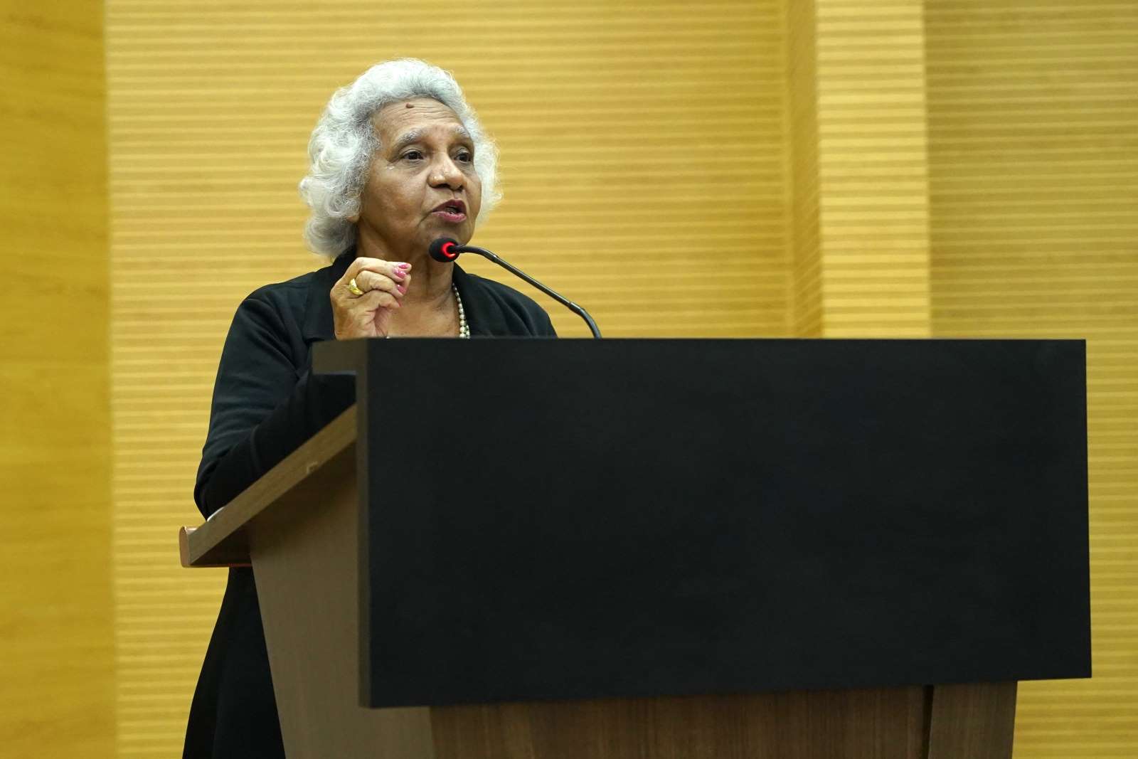 Ex-deputada Odaísa Fernandes discursou mais uma vez no plenário da Casa de Leis (Foto: Rafael Oliveira I Secom ALE/RO)
