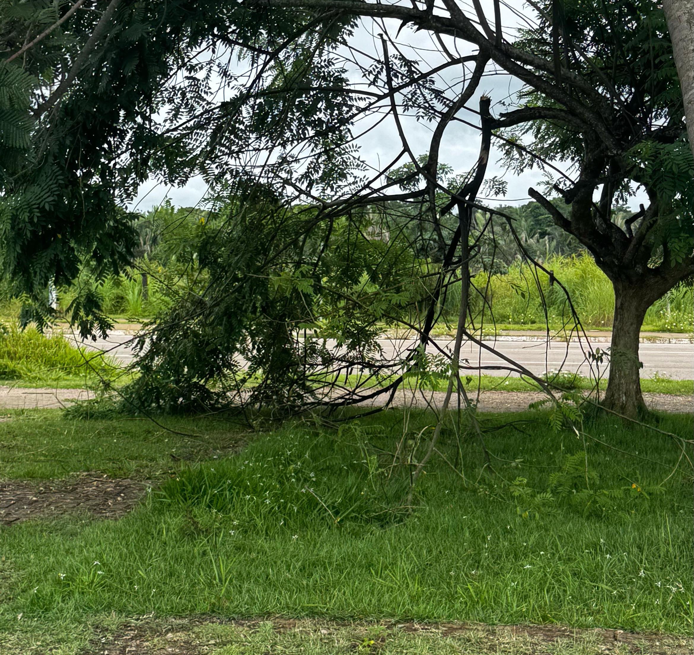 Foto: Reprodução/ALE-RO