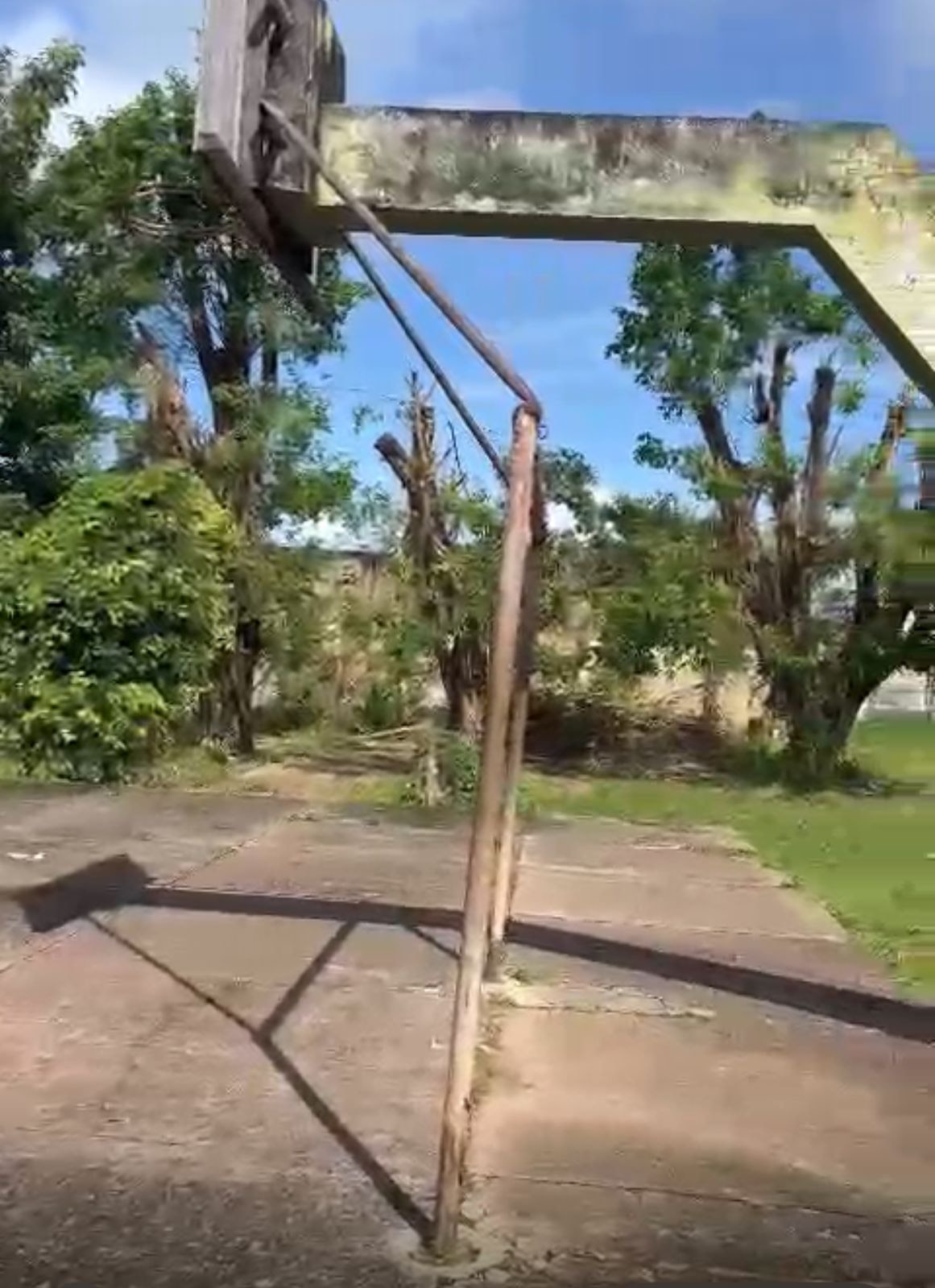 Foto: Reprodução/ALE-RO