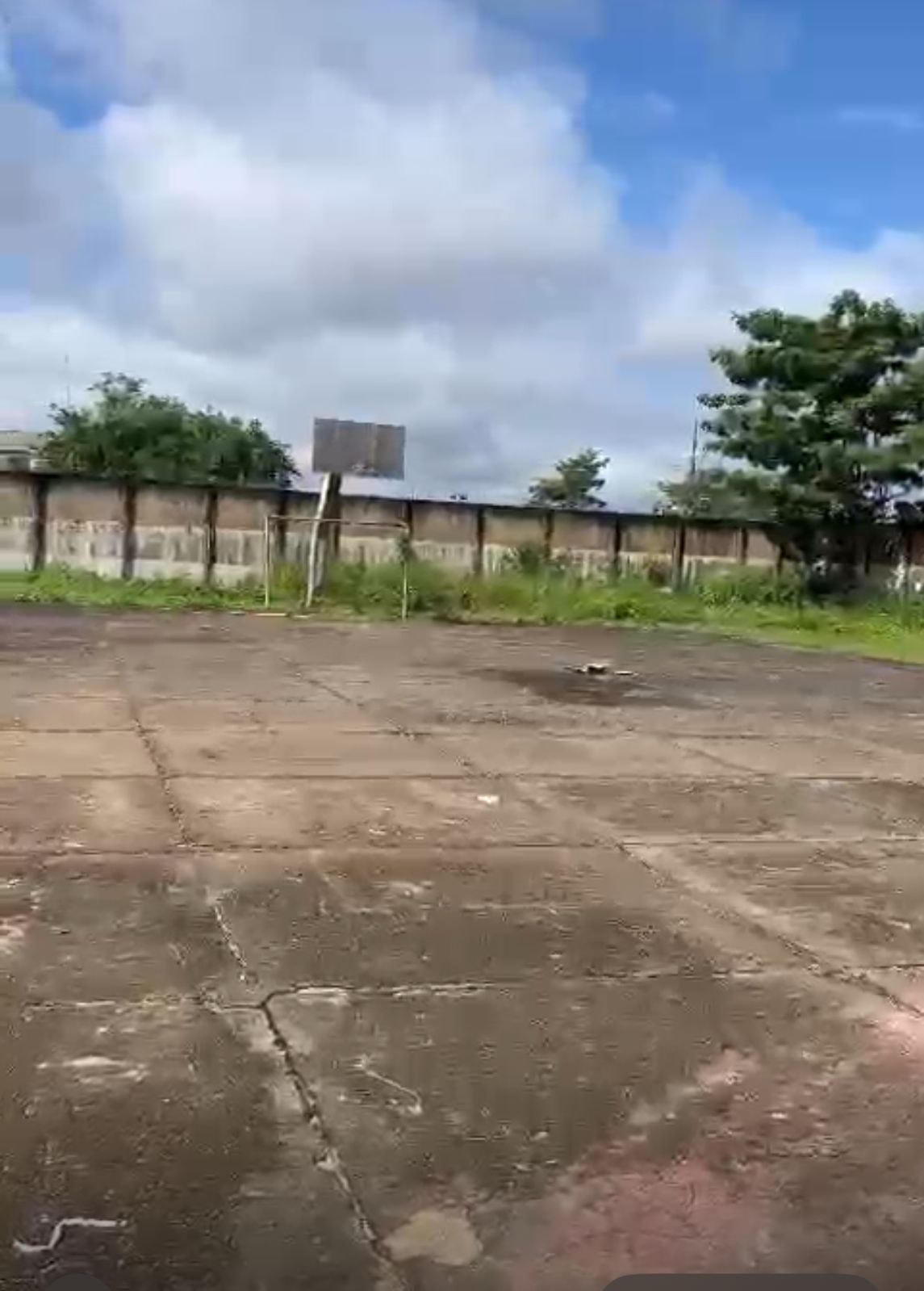 Foto: Reprodução/ALE-RO