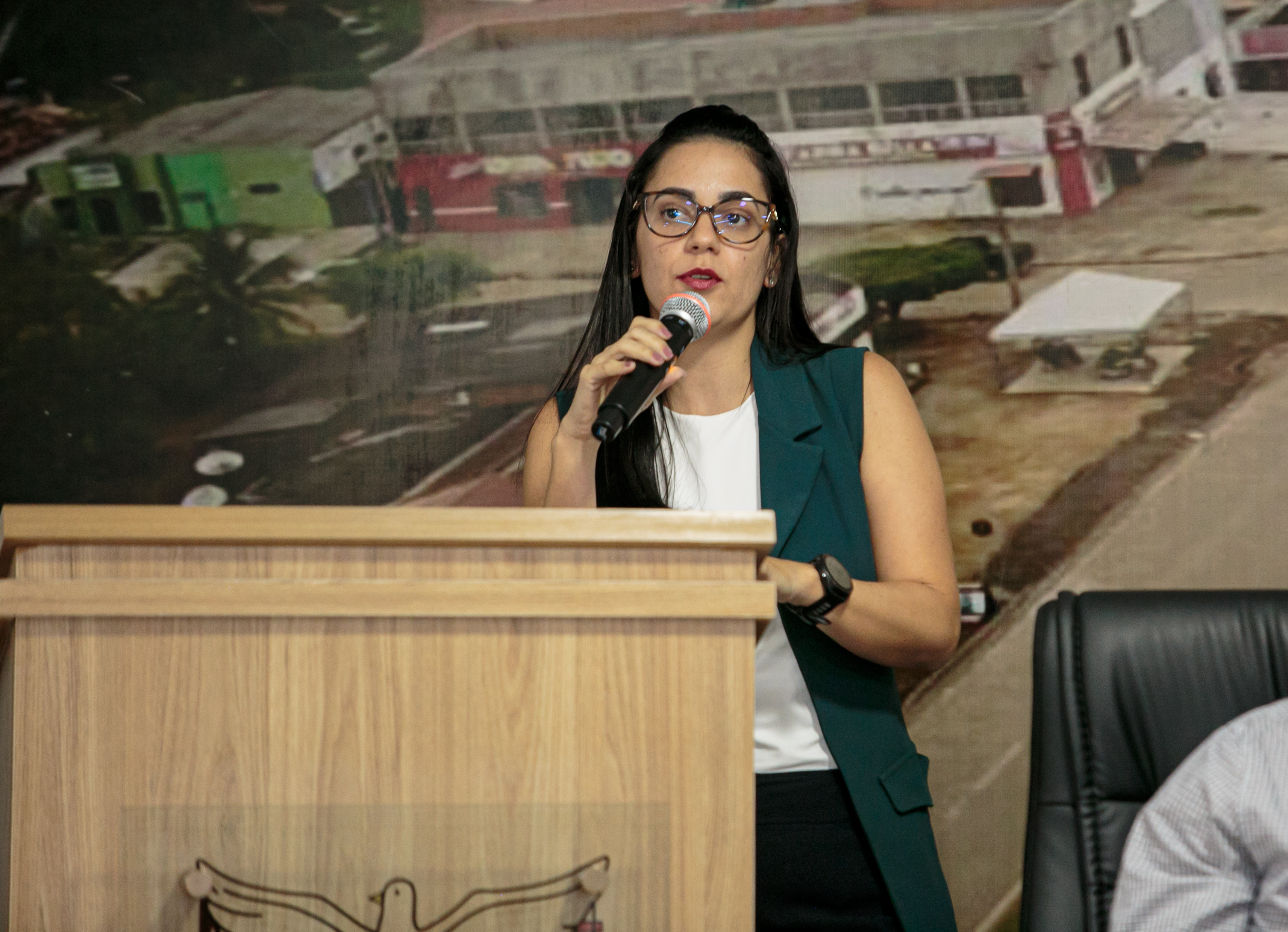 Foto: Reprodução/ALE-RO
