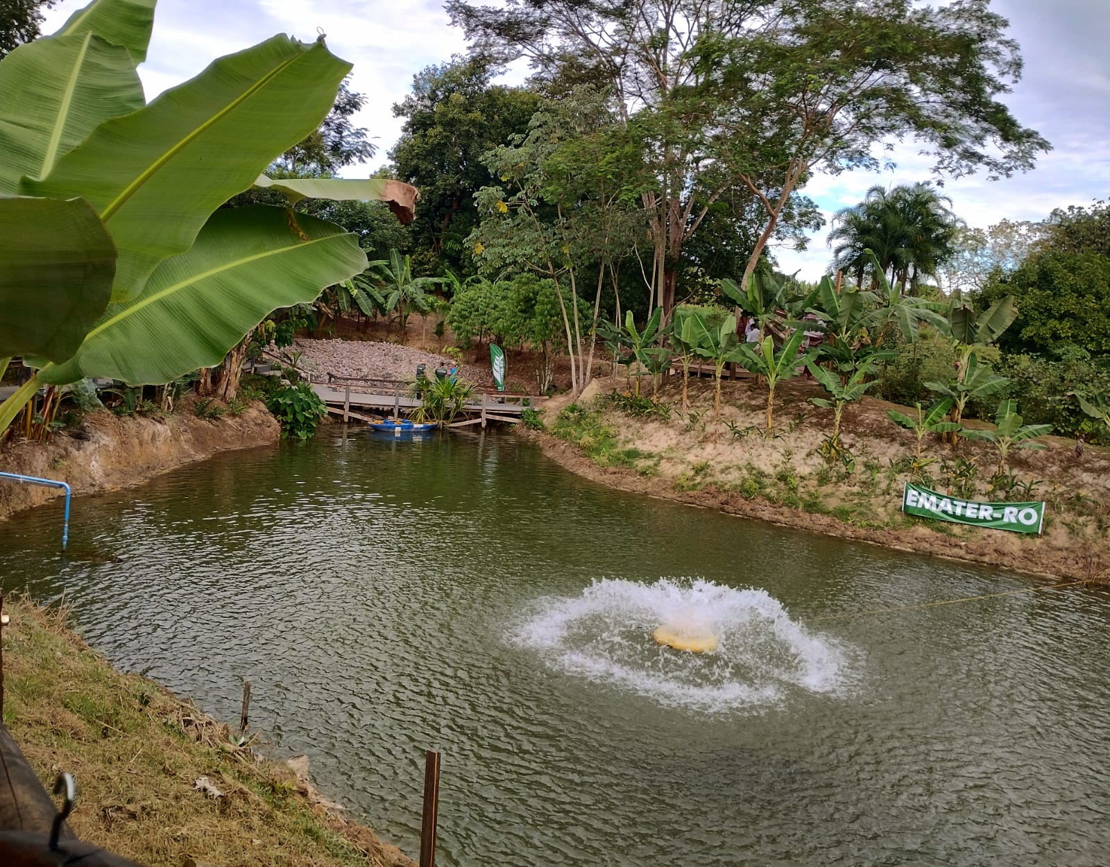 Foto: Reprodução/ALE-RO