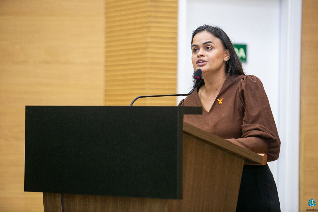 Foto: Reprodução/ALE-RO