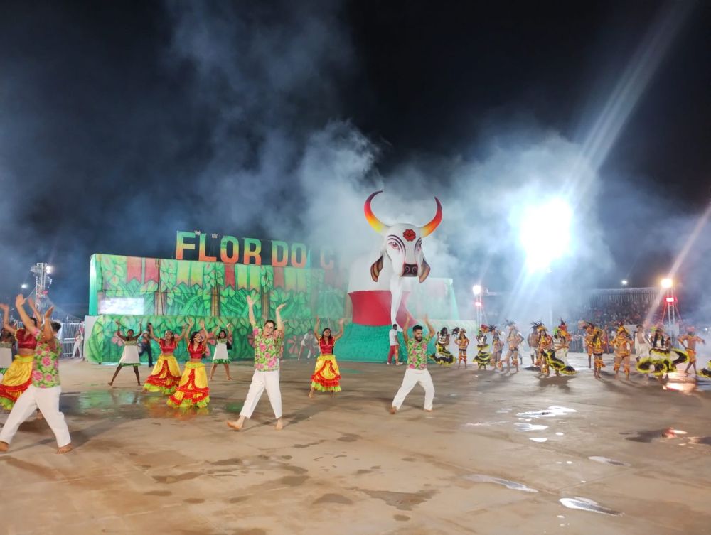 Foto: Reprodução/ALE-RO