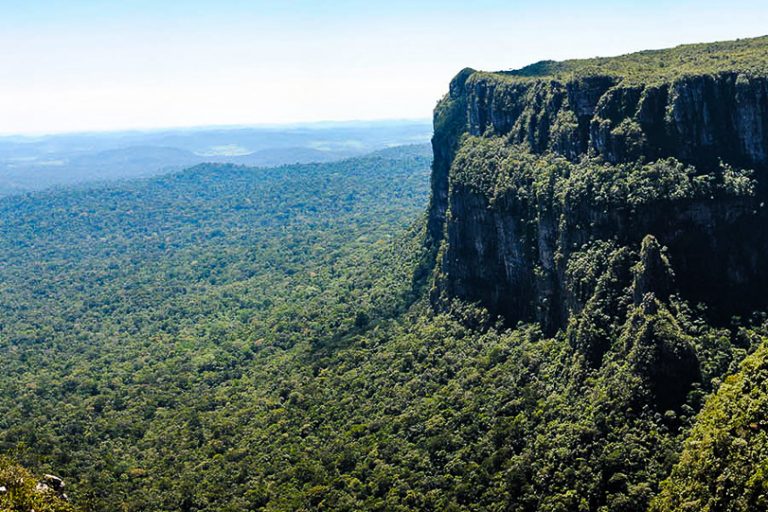 Foto: Reprodução/ALE-RO