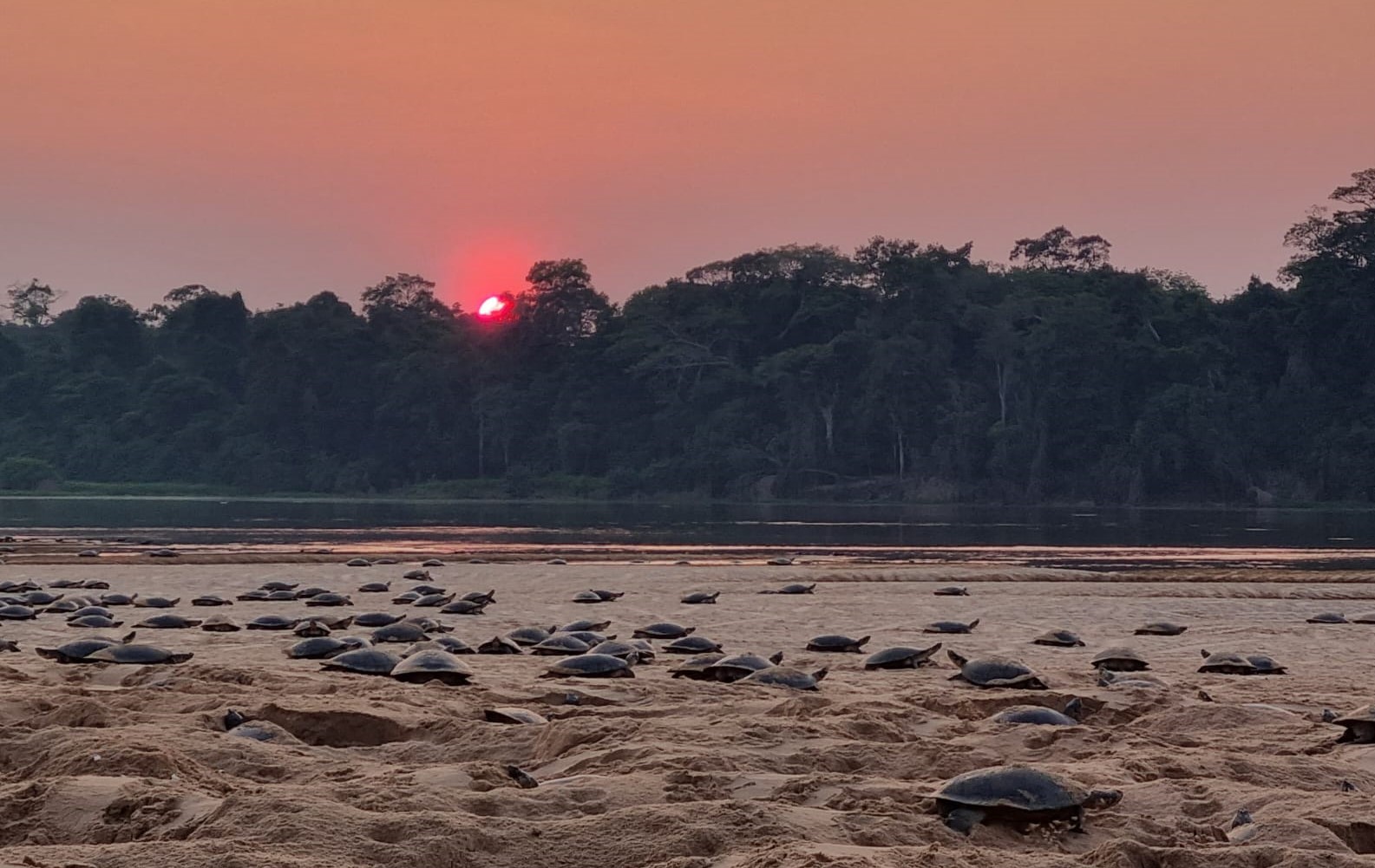 Foto: Reprodução/ALE-RO