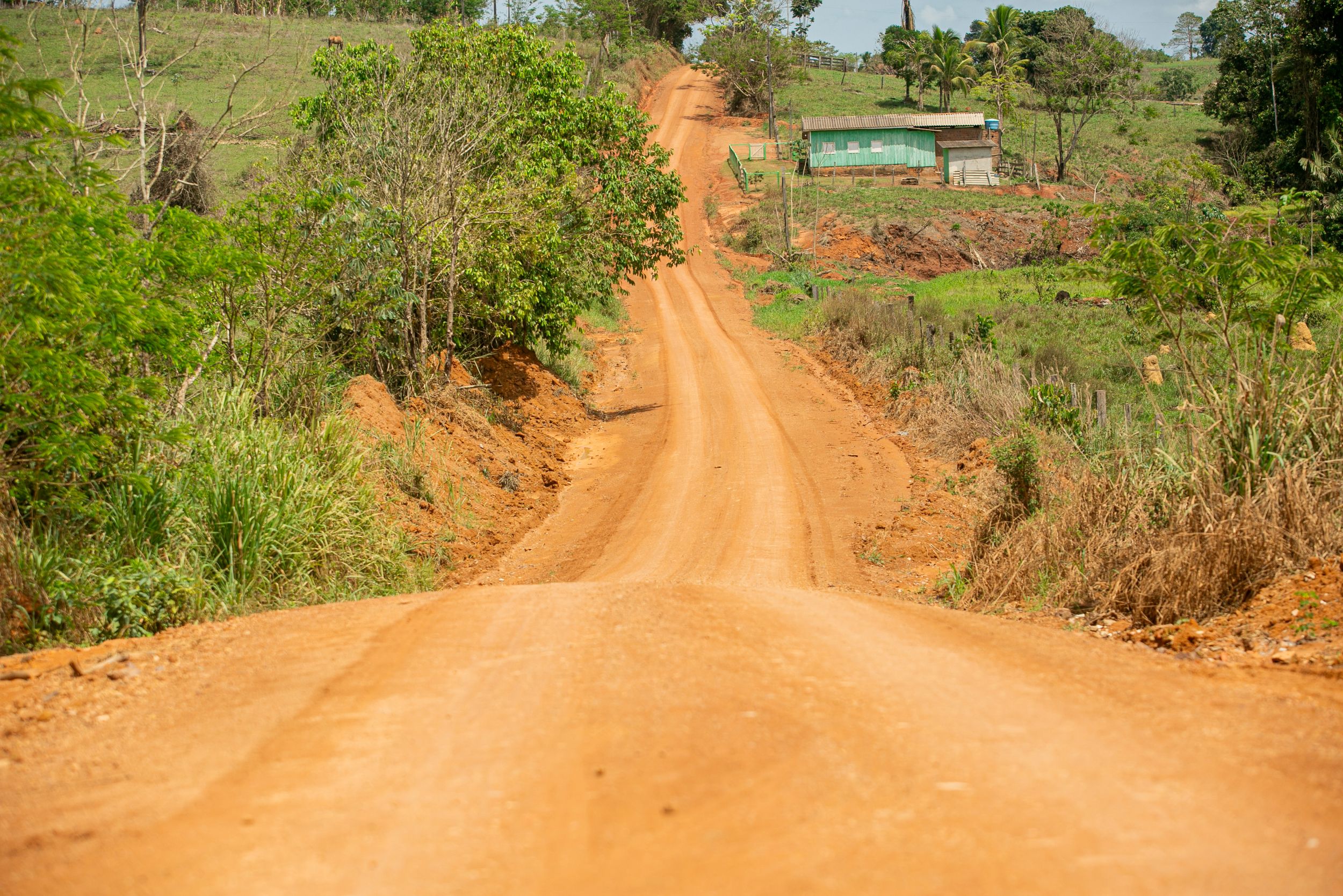 Foto: Reprodução/ALE-RO