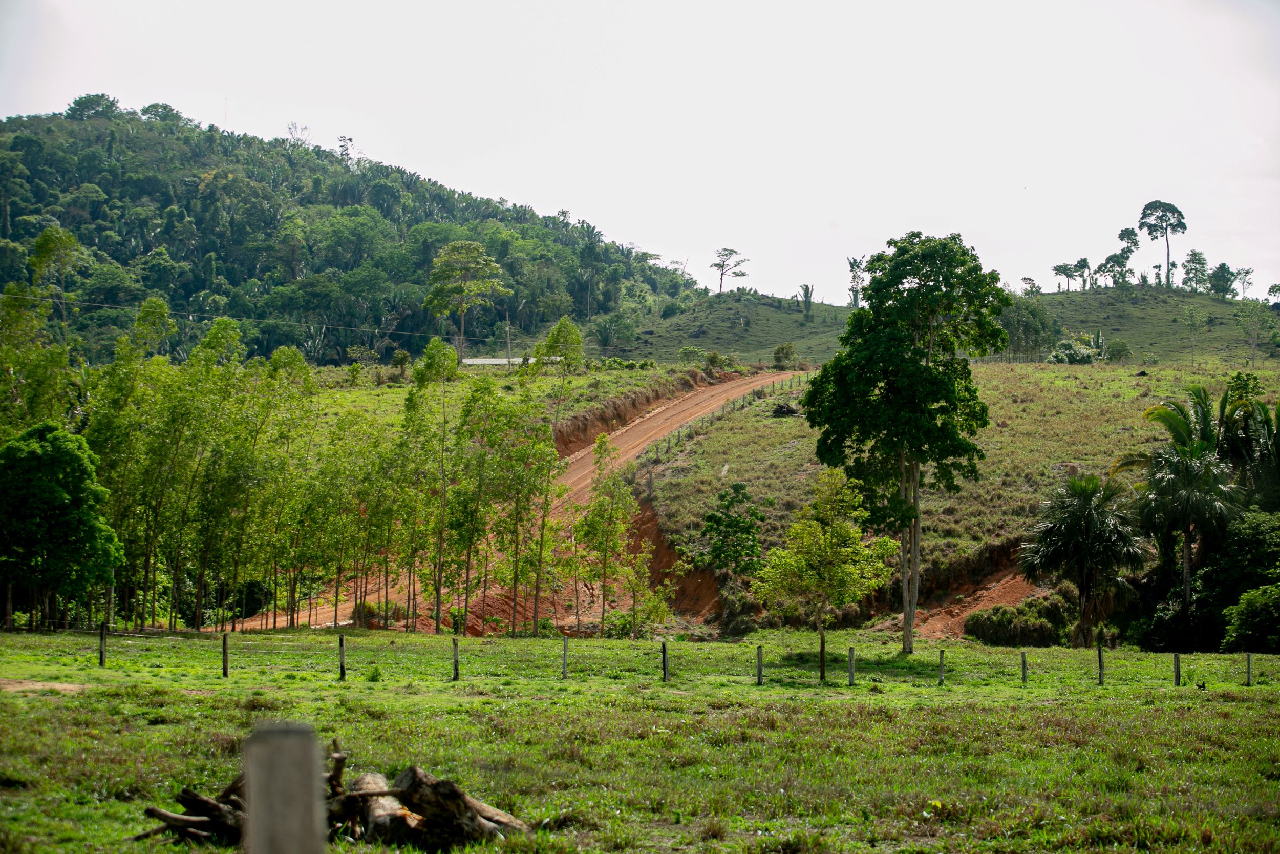 Foto: Reprodução/ALE-RO