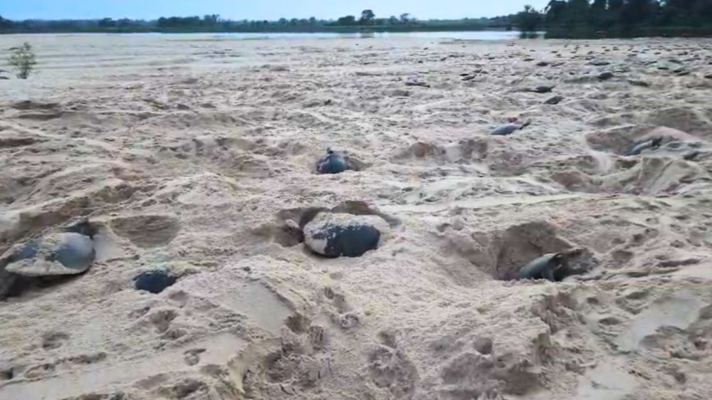 Foto: Reprodução/ALE-RO