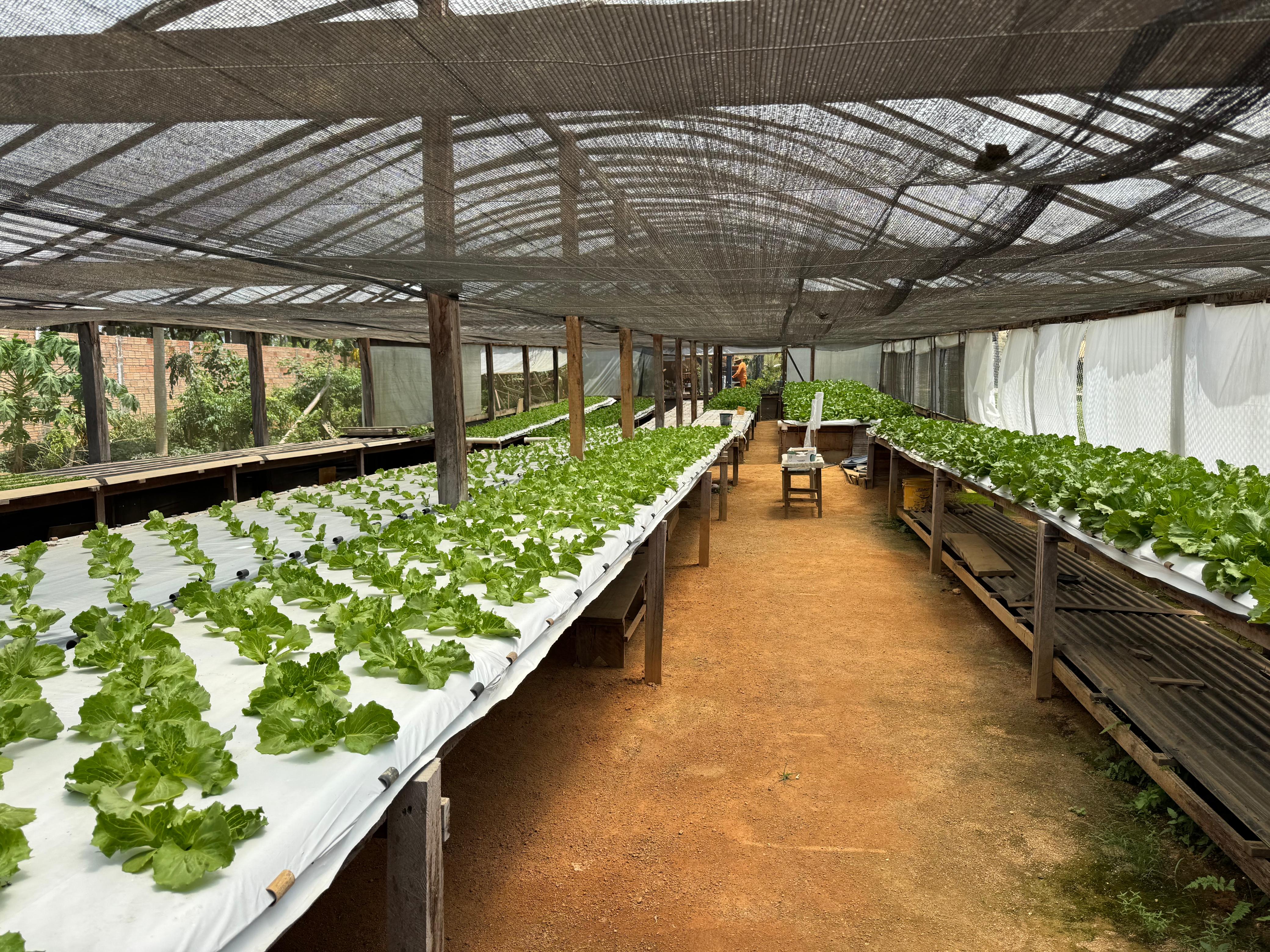 Foto: Reprodução/ALE-RO