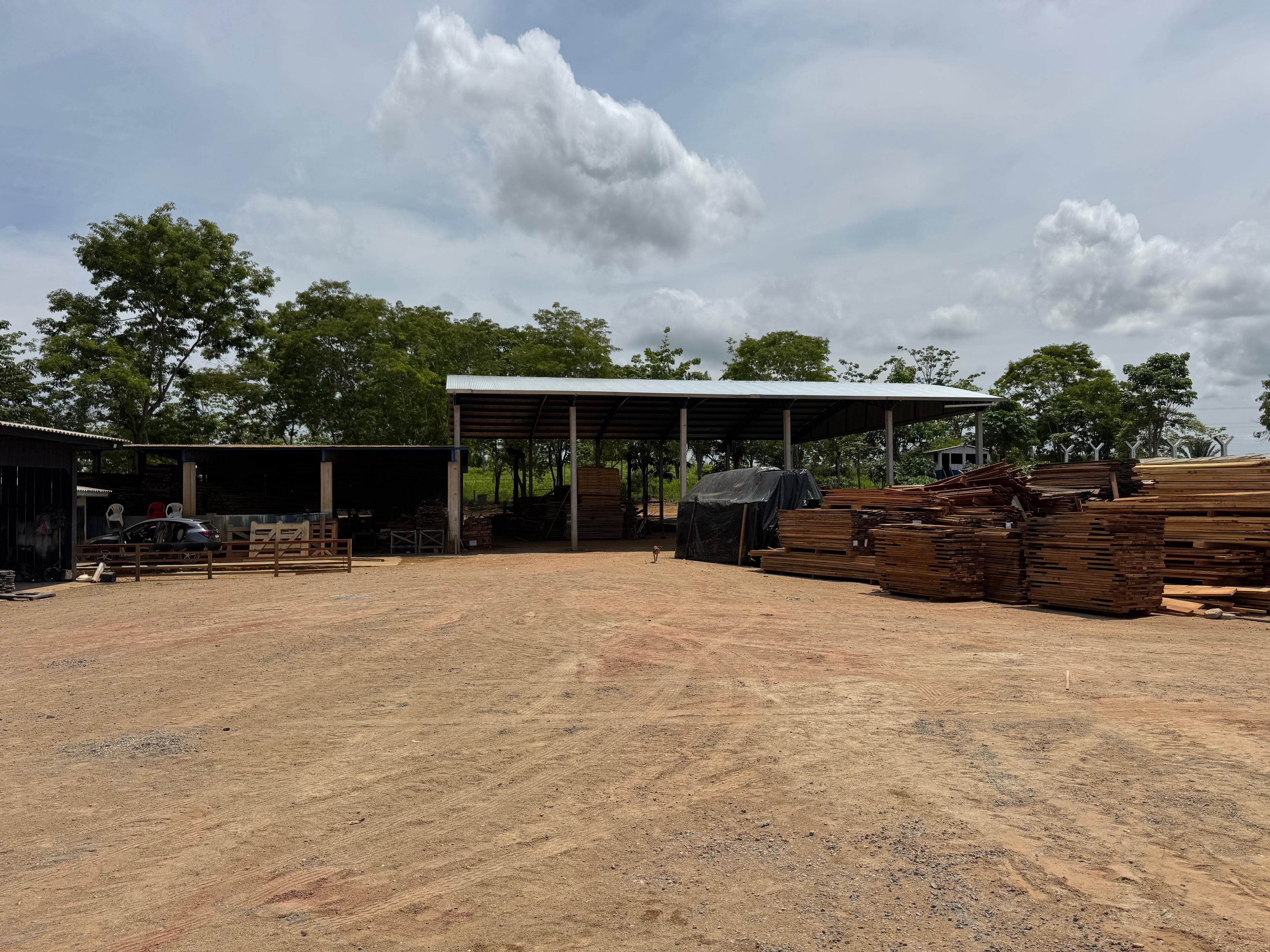 Foto: Reprodução/ALE-RO