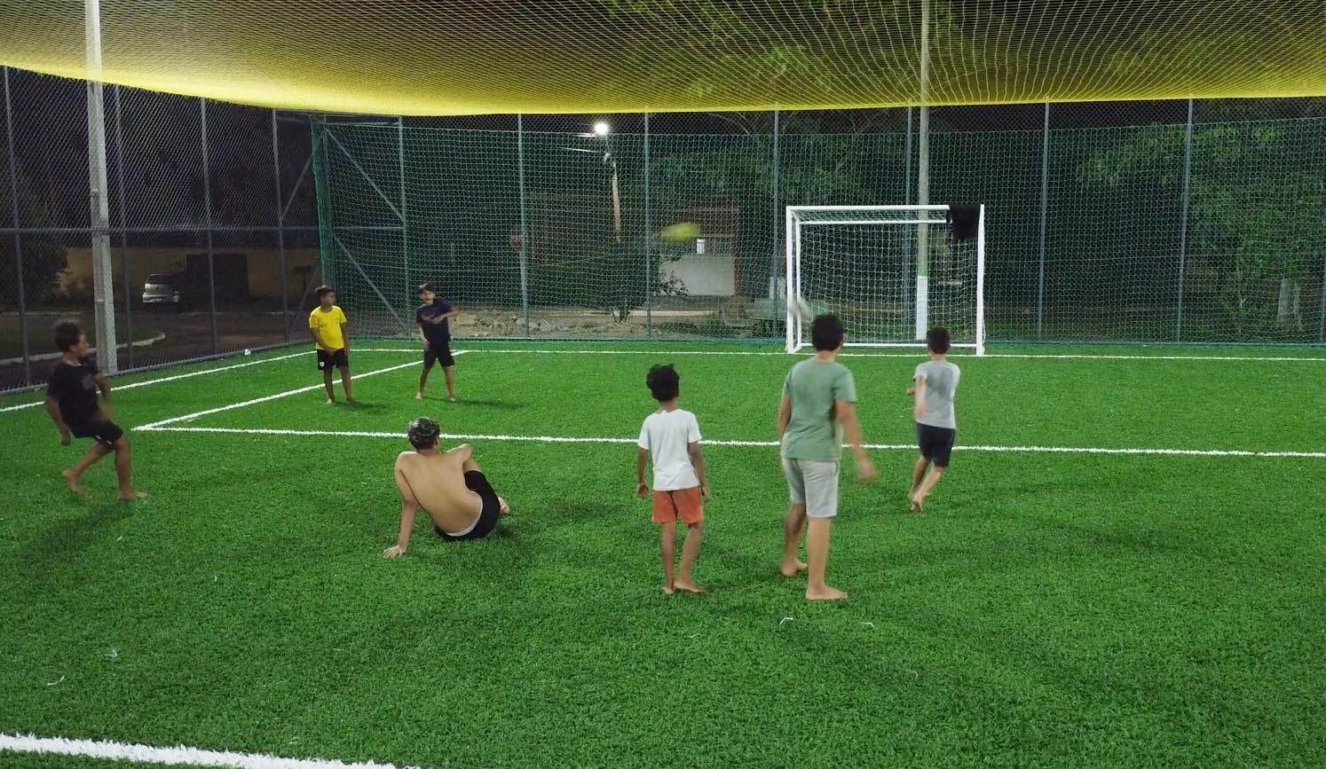 Foto: Reprodução/ALE-RO