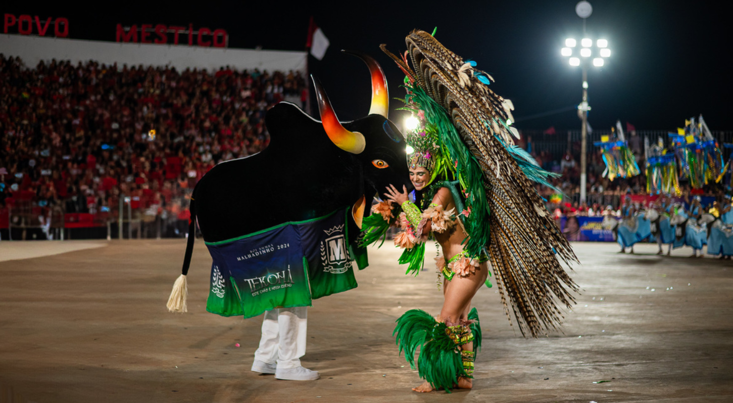 Foto: Reprodução/ALE-RO