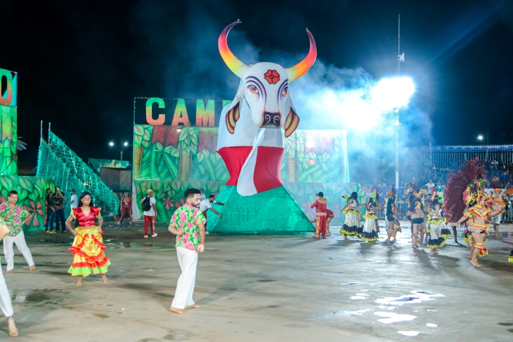 Foto: Reprodução/ALE-RO