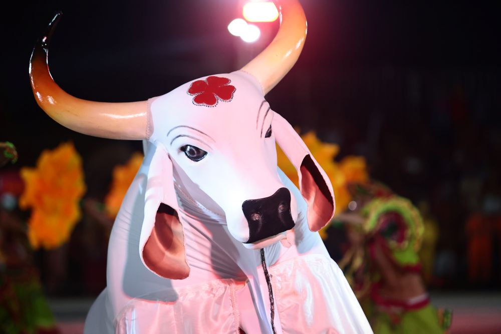 Foto: Reprodução/ALE-RO