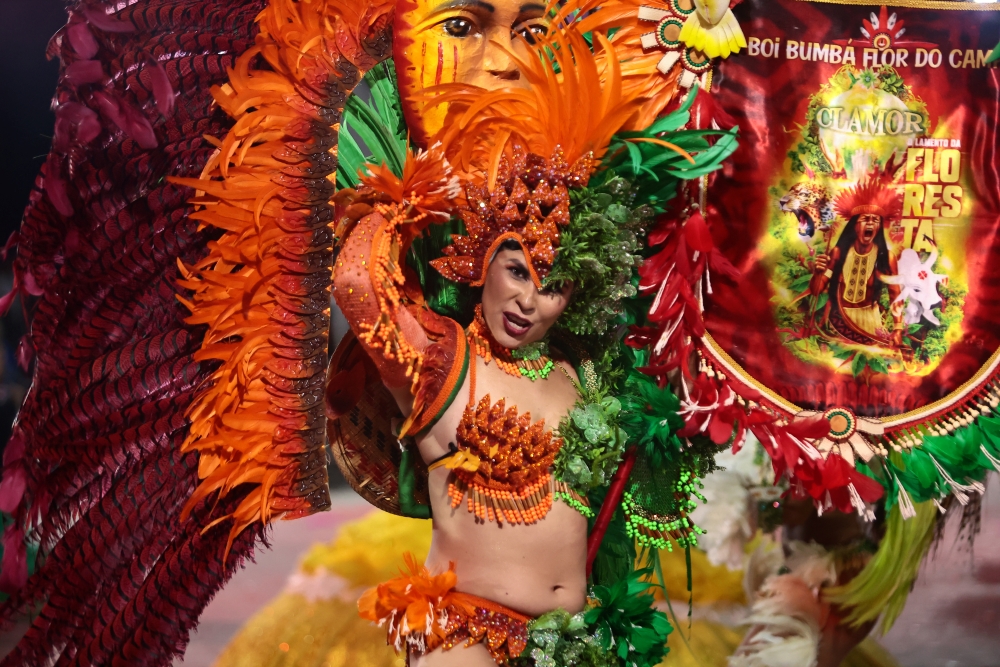 Foto: Reprodução/ALE-RO