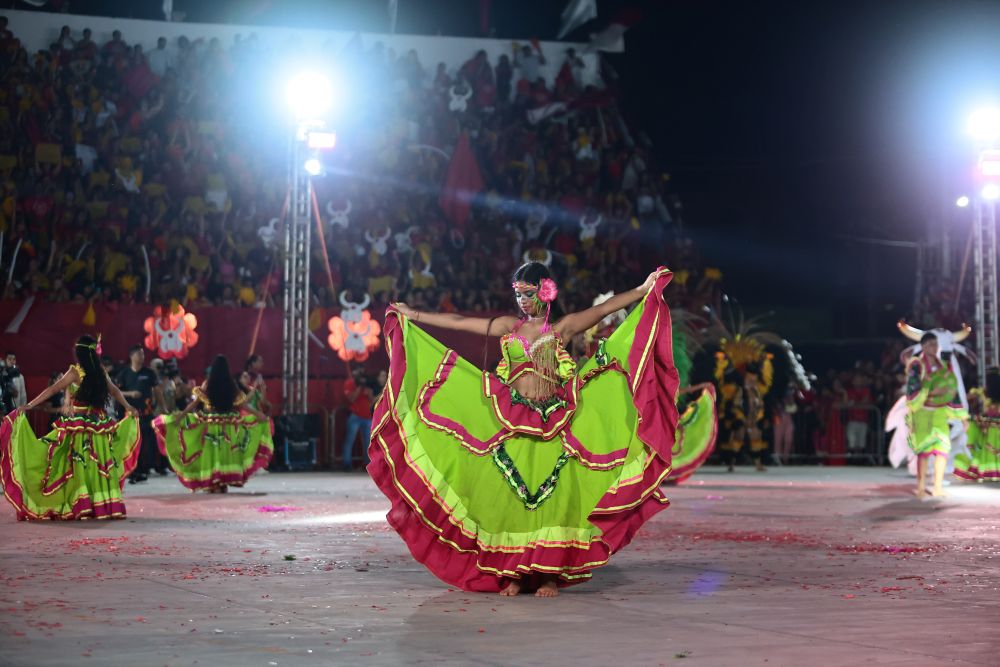 Foto: Reprodução/ALE-RO