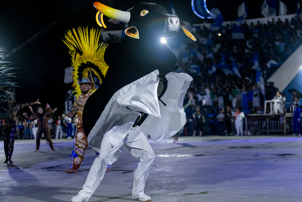 Foto: Reprodução/ALE-RO