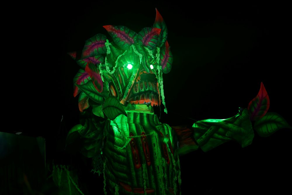 Foto: Reprodução/ALE-RO