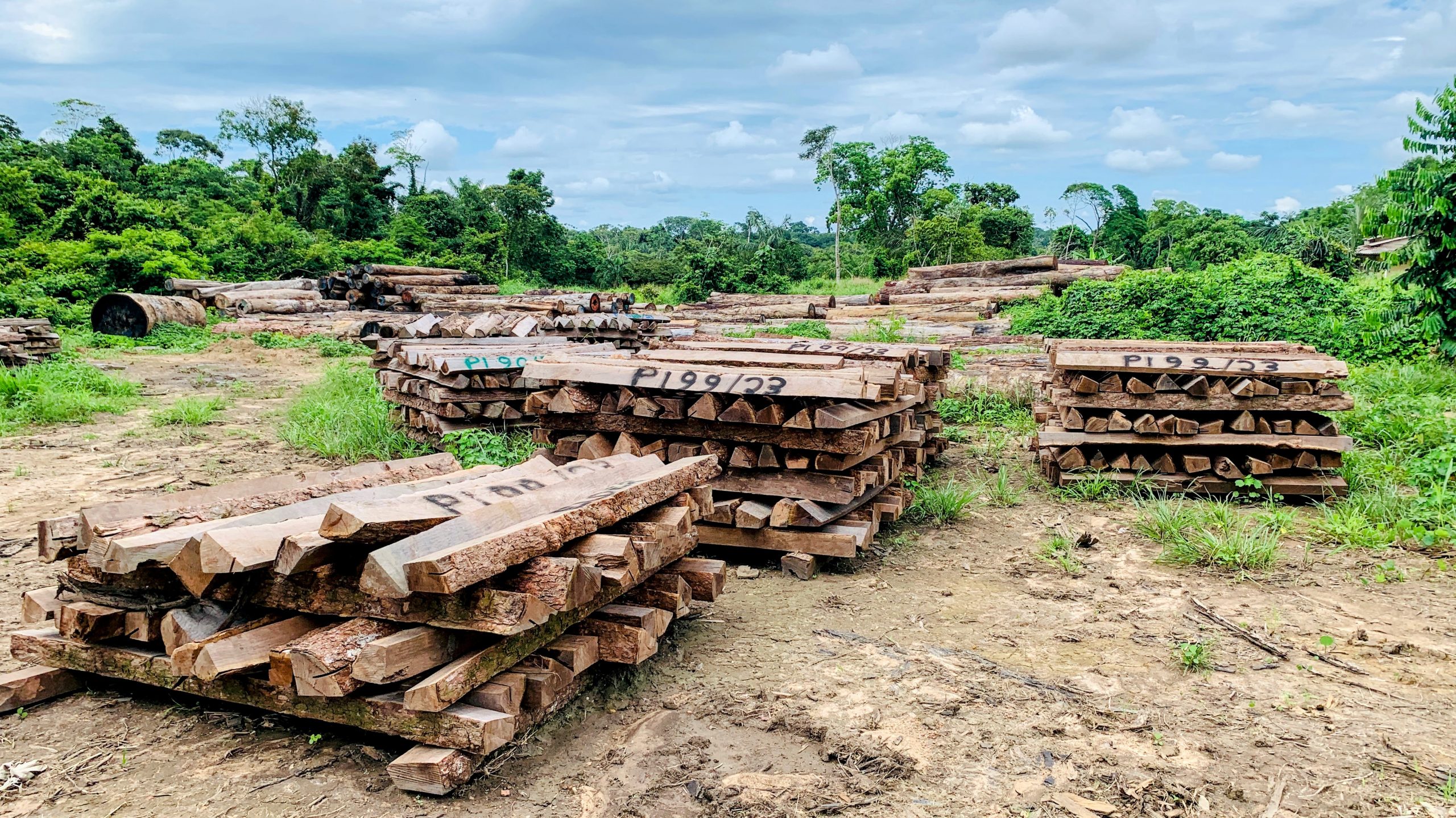 Foto: Reprodução/ALE-RO