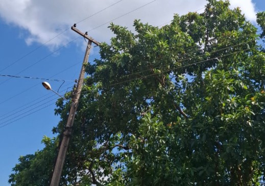 Foto: Reprodução/ALE-RO