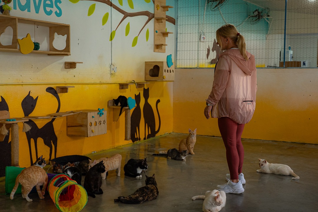 Foto: Reprodução/ALE-RO