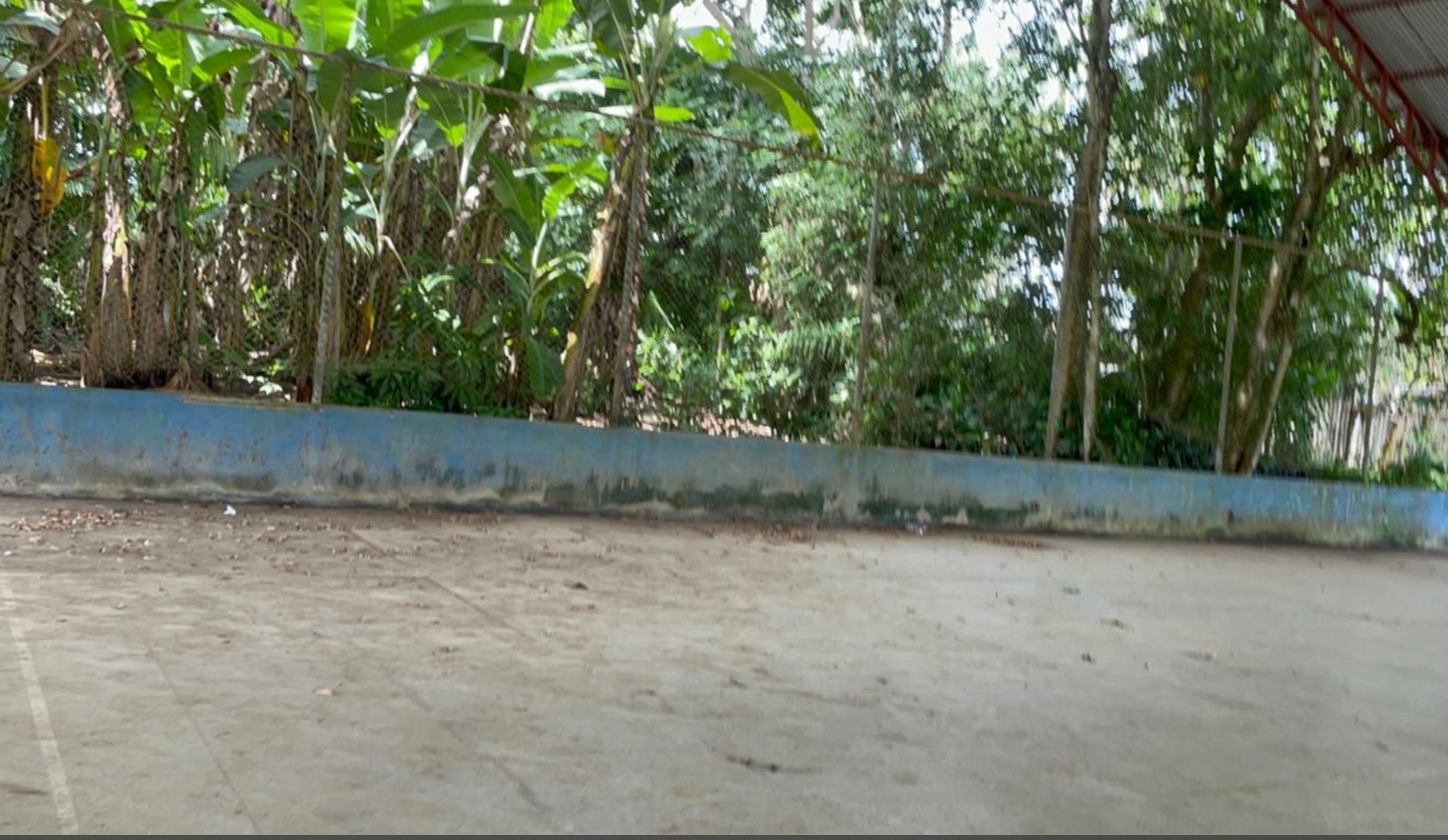 Foto: Reprodução/ALE-RO