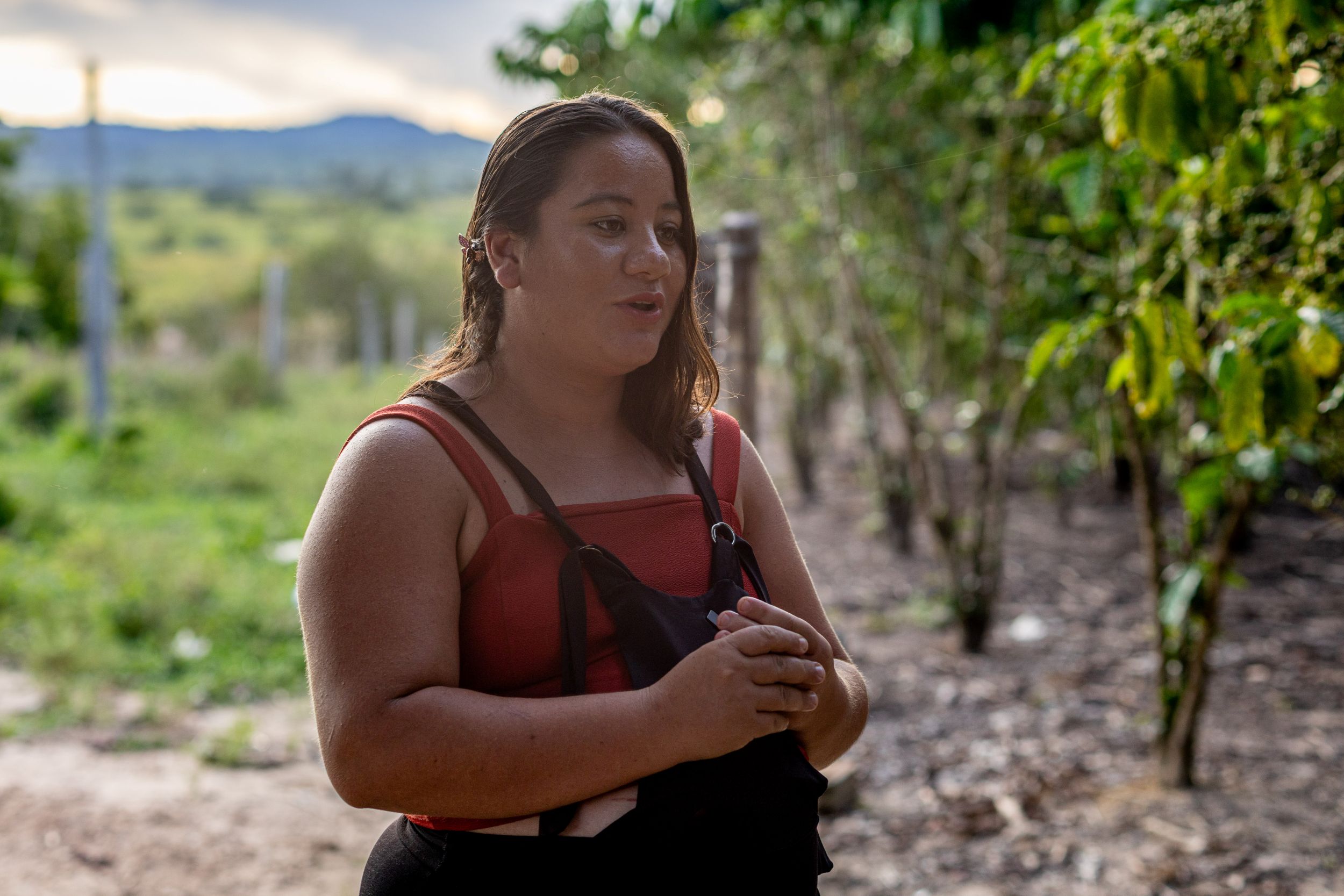 Foto: Reprodução/ALE-RO