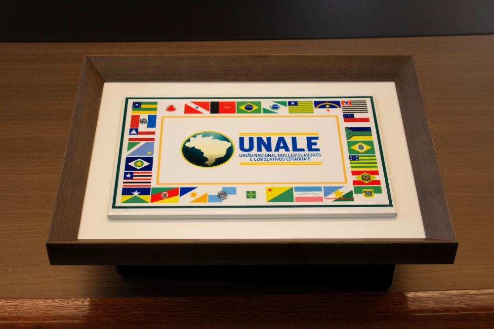 Foto: Reprodução/ALE-RO