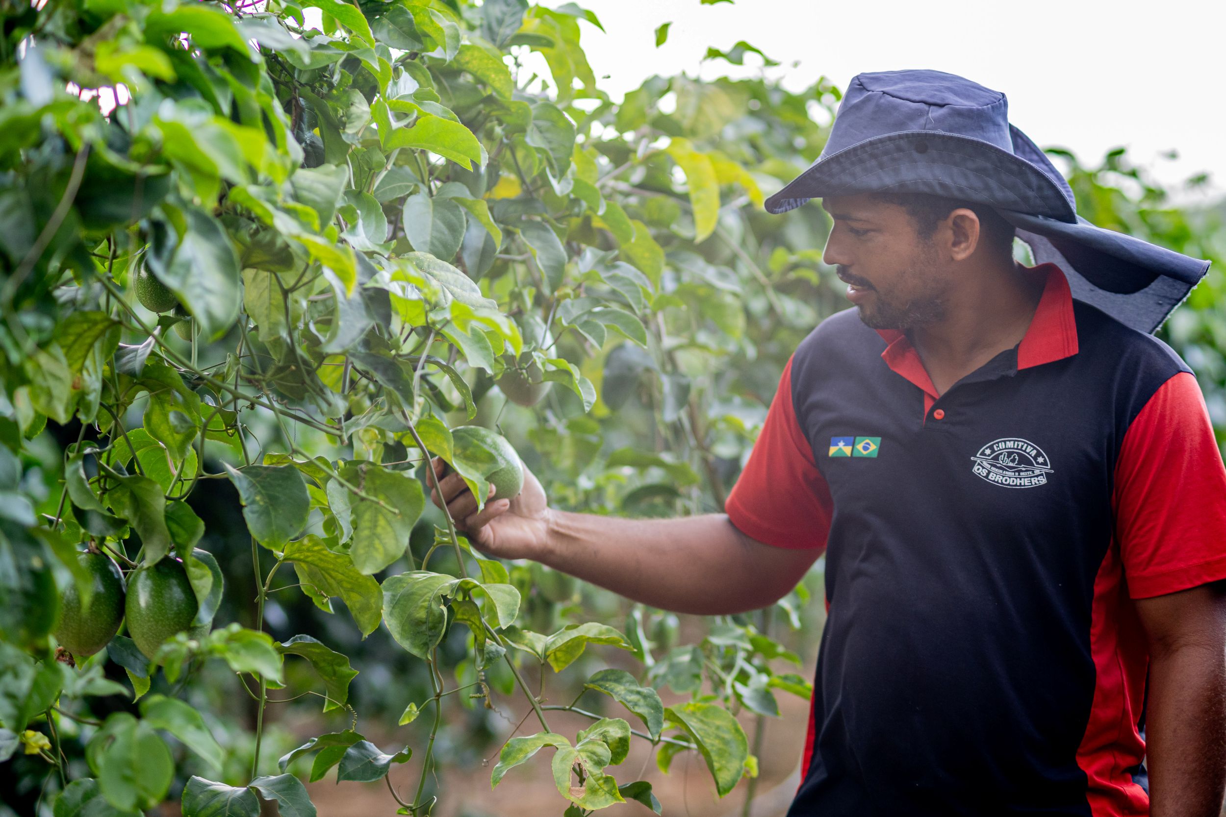 Foto: Reprodução/ALE-RO