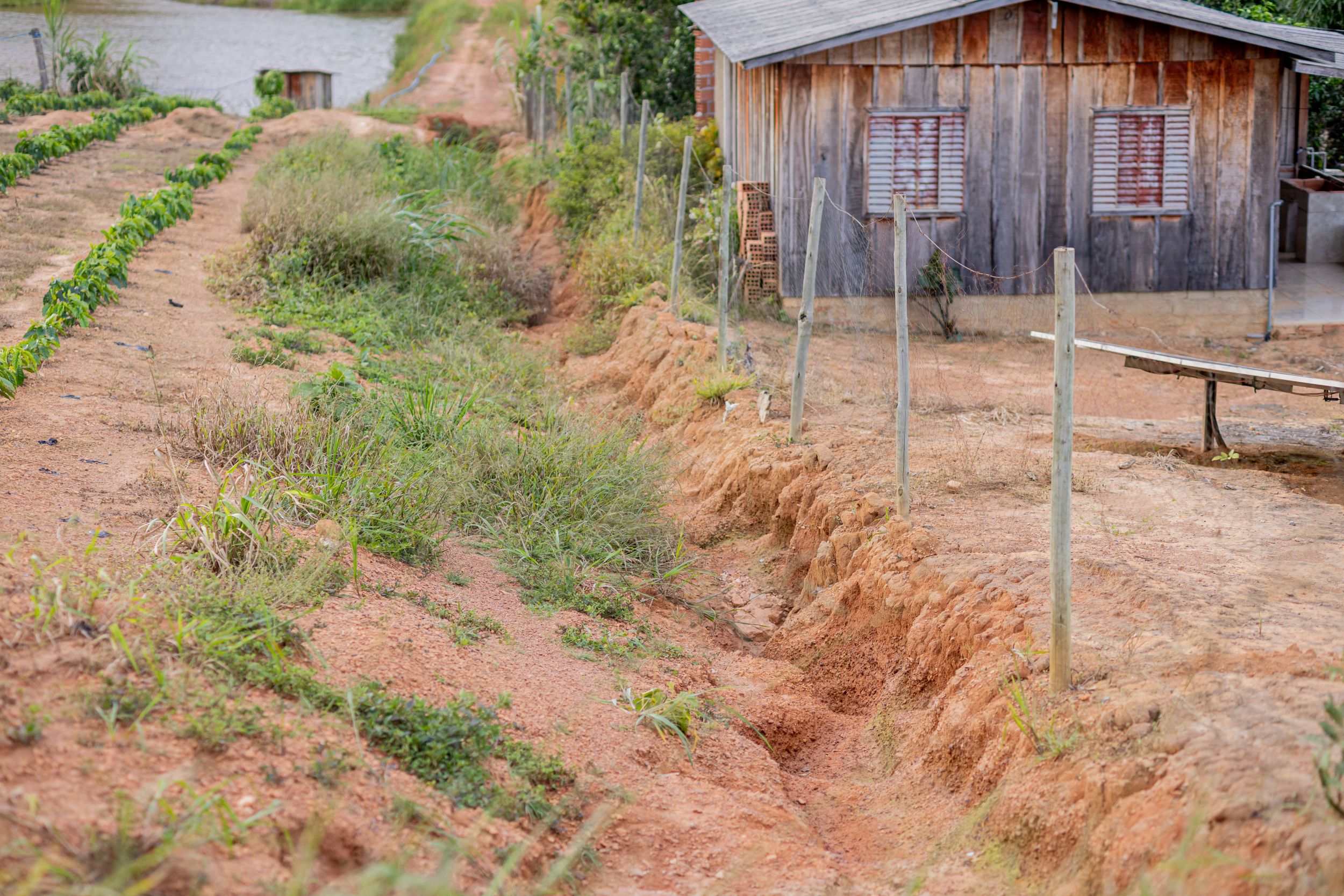 Foto: Reprodução/ALE-RO