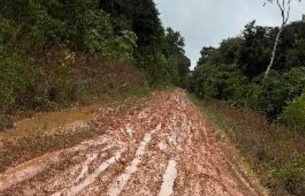 Foto: Reprodução/ALE-RO