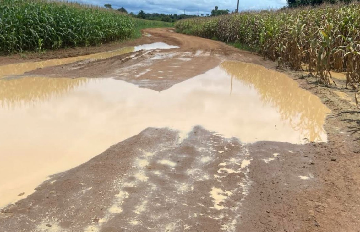 Foto: Reprodução/ALE-RO