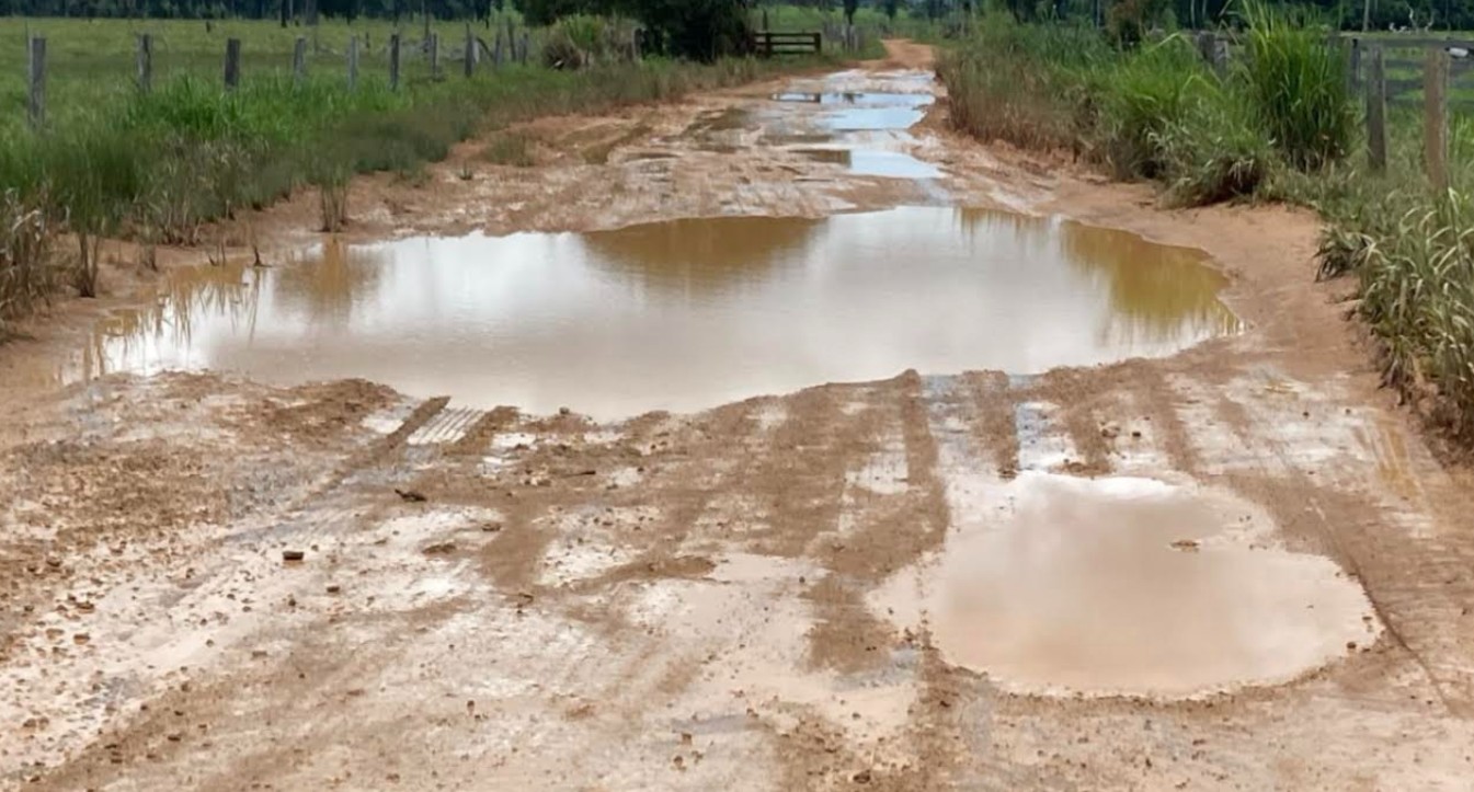 Foto: Reprodução/ALE-RO