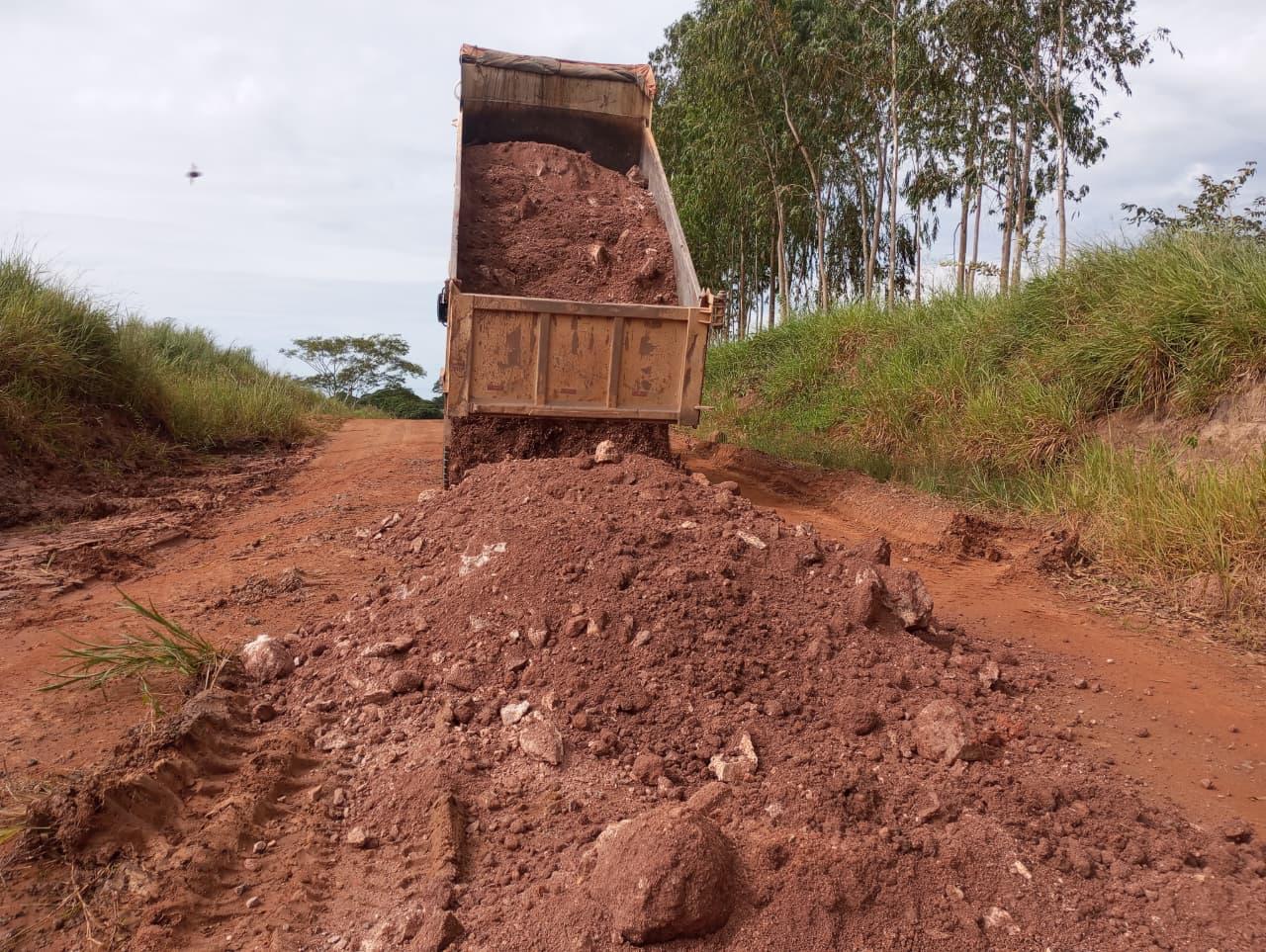 Foto: Reprodução/ALE-RO