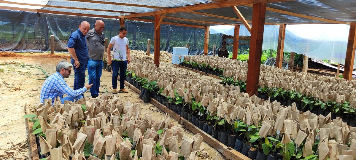 Foto: Reprodução/ALE-RO