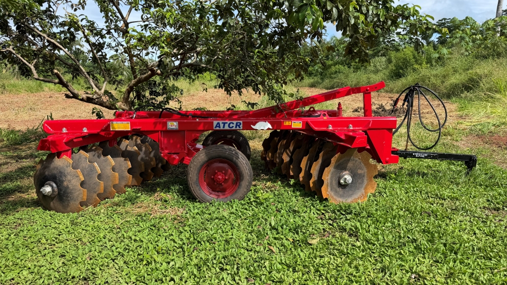 Foto: Reprodução/ALE-RO