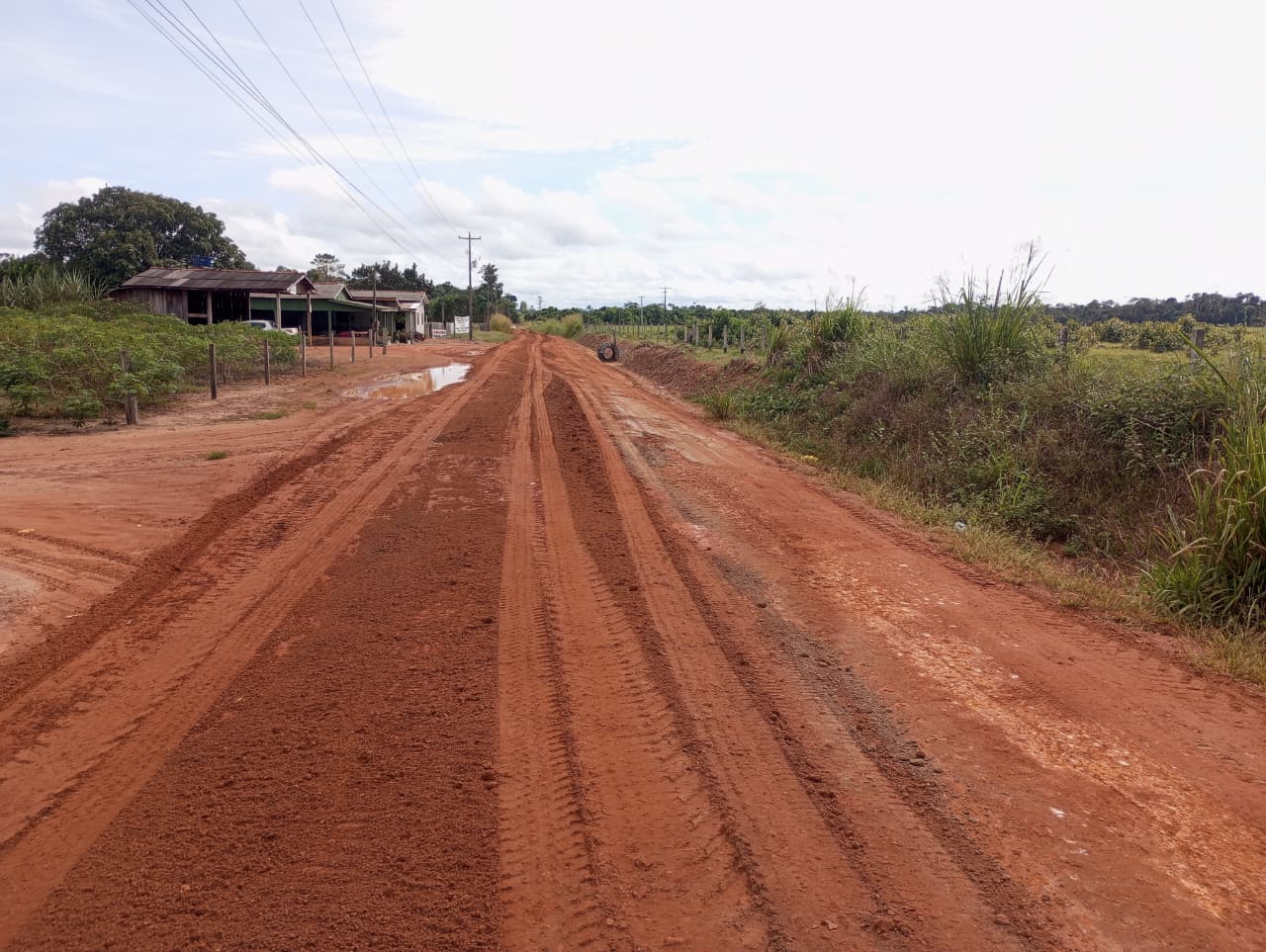 Foto: Reprodução/ALE-RO