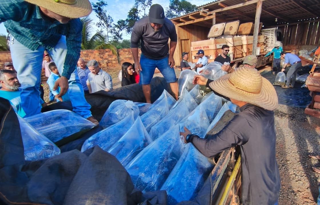 Foto: Reprodução/ALE-RO