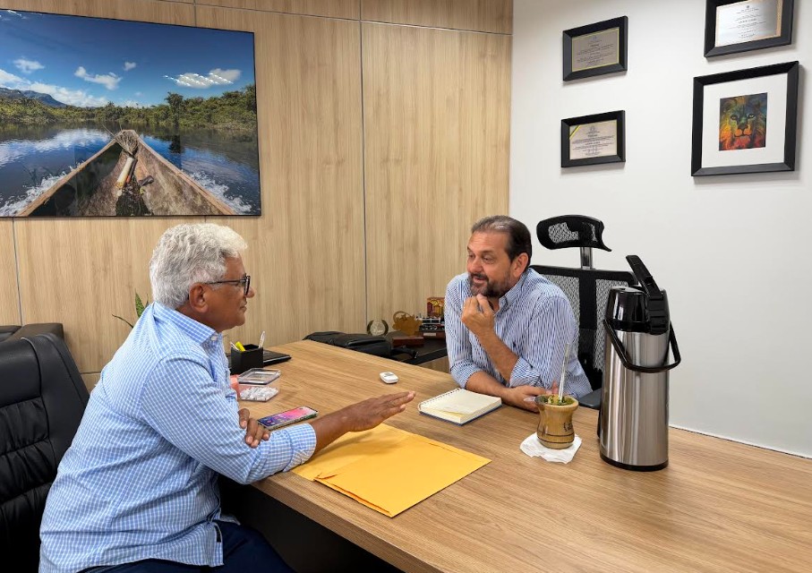 Foto: Reprodução/ALE-RO