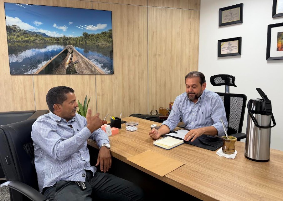 Foto: Reprodução/ALE-RO