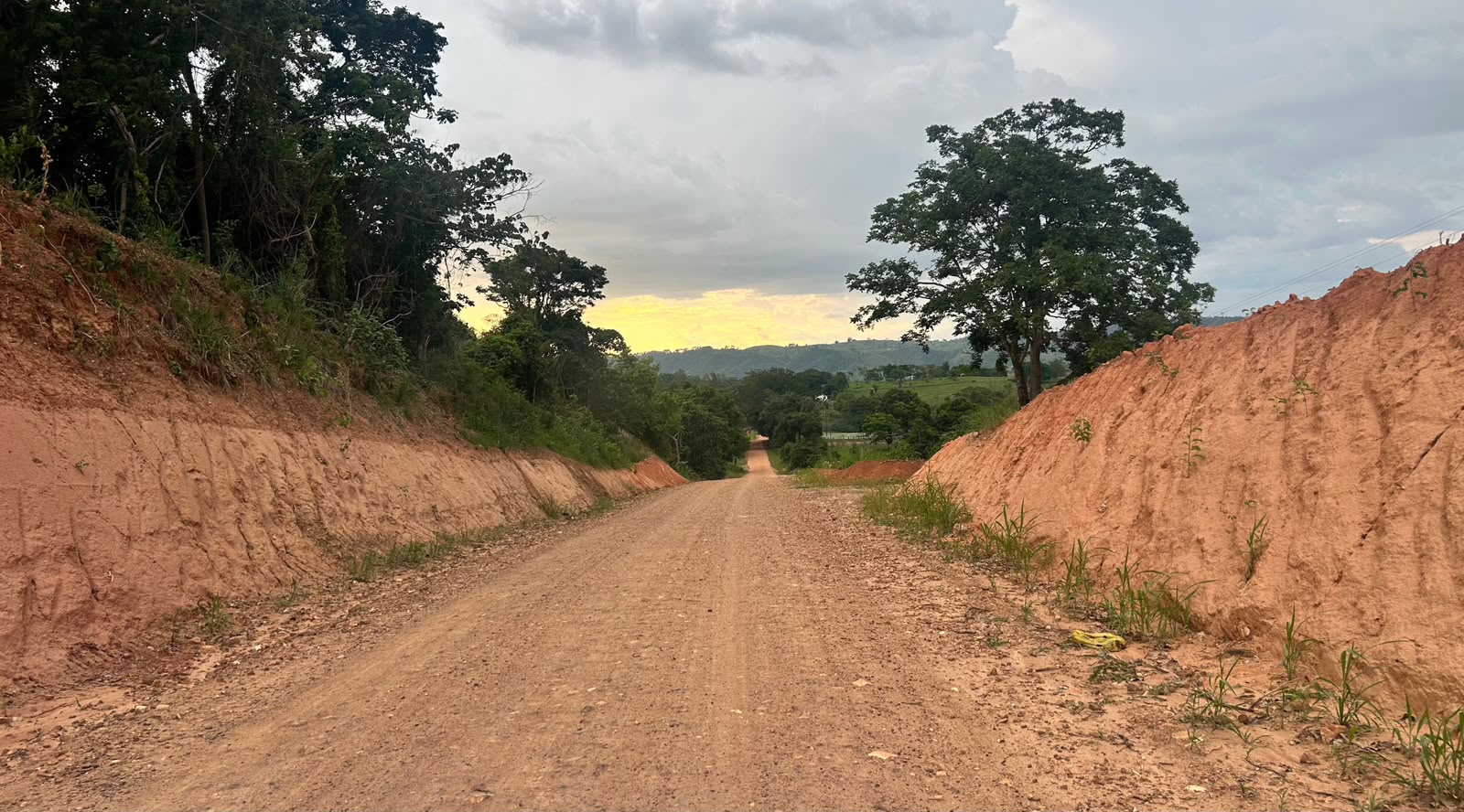 Foto: Reprodução/ALE-RO